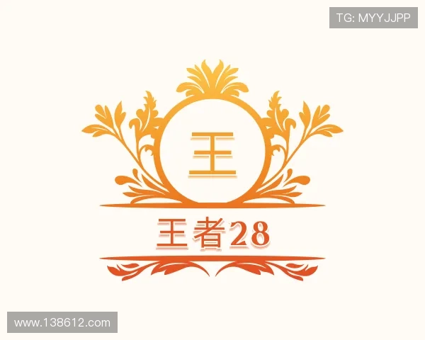 认识王者28
